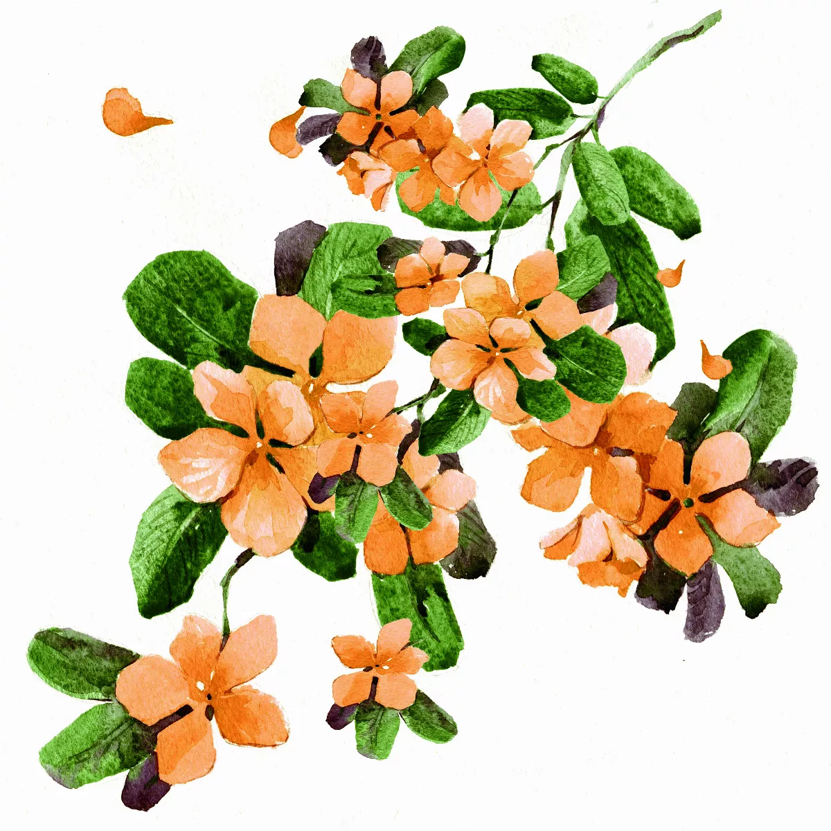 【隨堂開示錄─各類致詞】救急