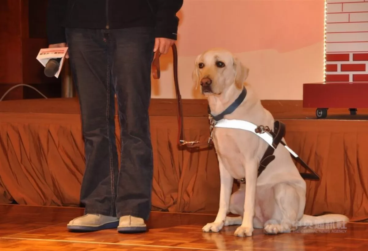 拒絕導盲犬進餐廳  未來恐涉反歧視法須賠償