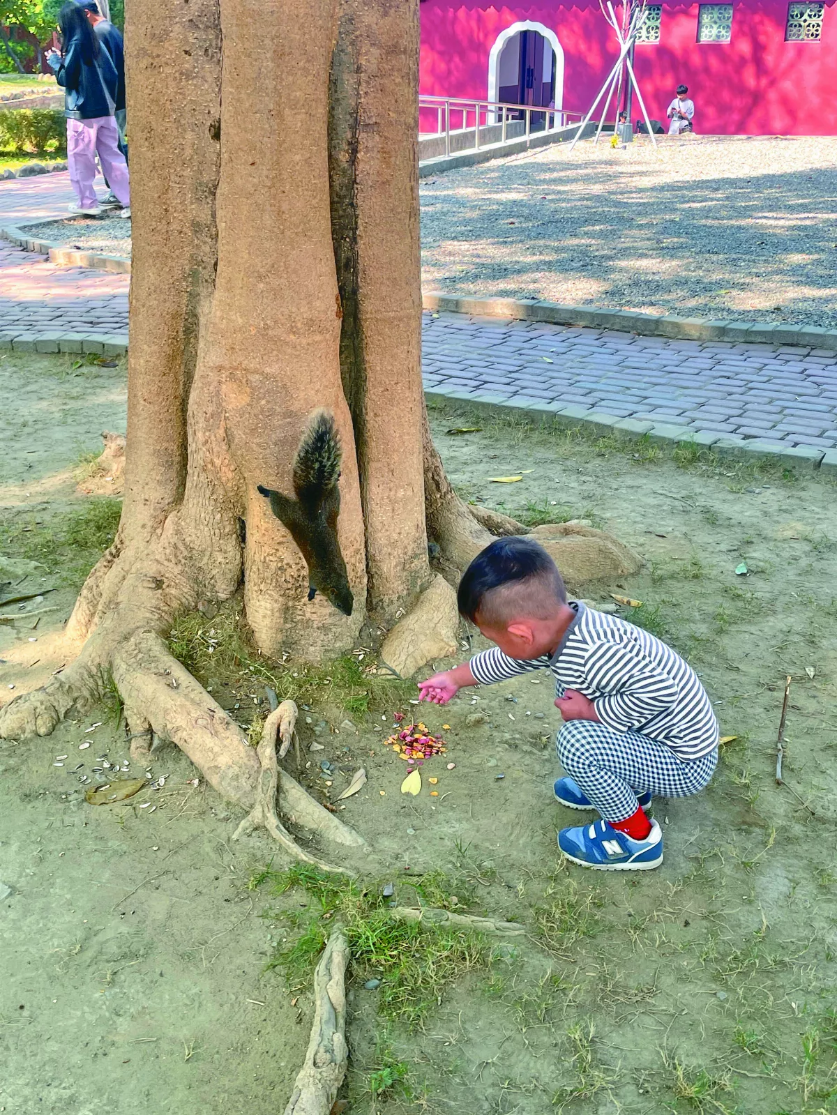 人間煙火中的都市動物