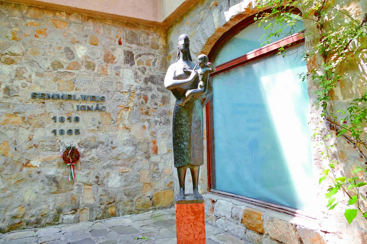 【典範長存】母親們的救星 塞麥爾維斯