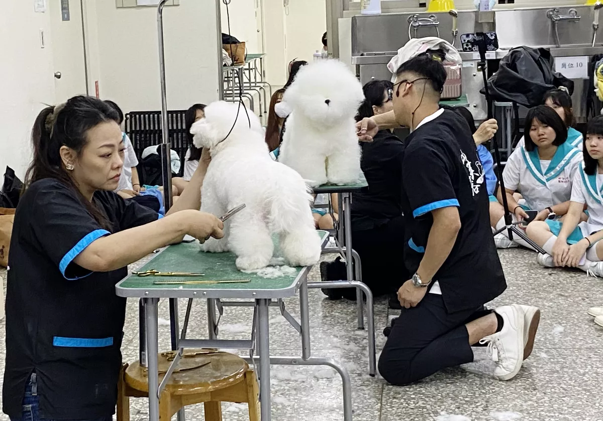 培養多元技能 弘光科大動保系研討會秀萌寵造型