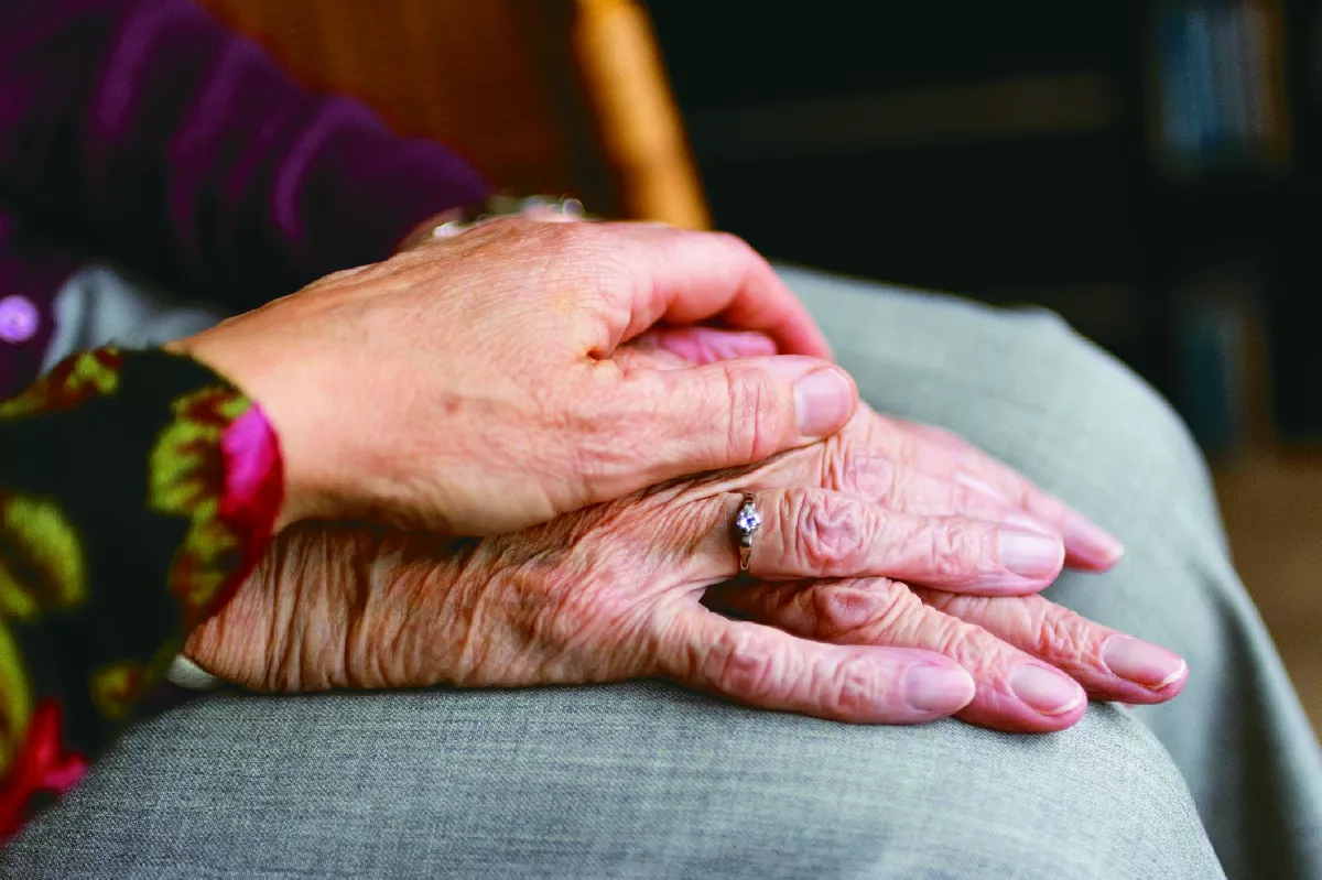 侍親方知父母恩