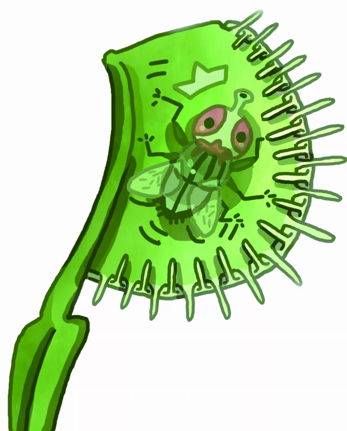 捕蠅草 藉電位差捕蟲