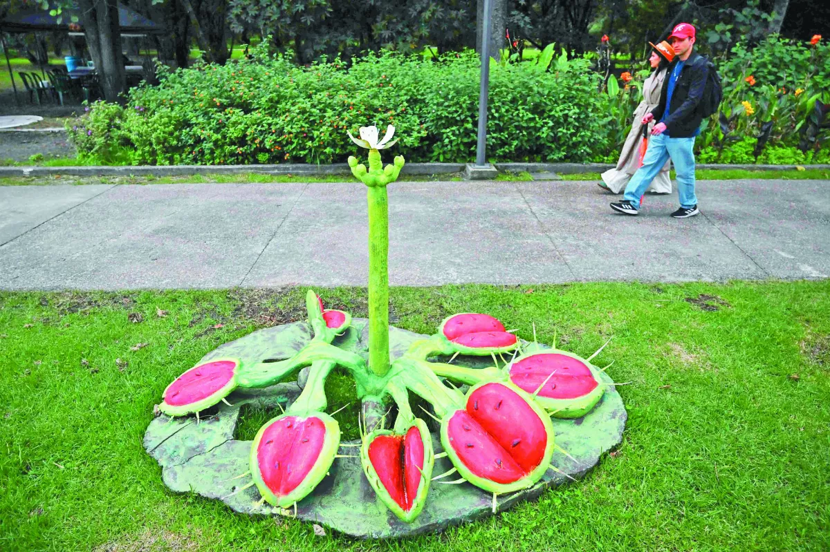 食蟲植物展