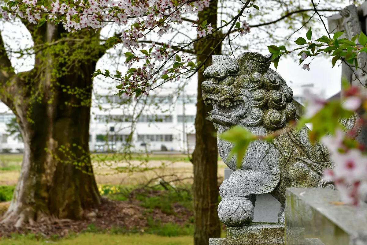 星雲大師：發心