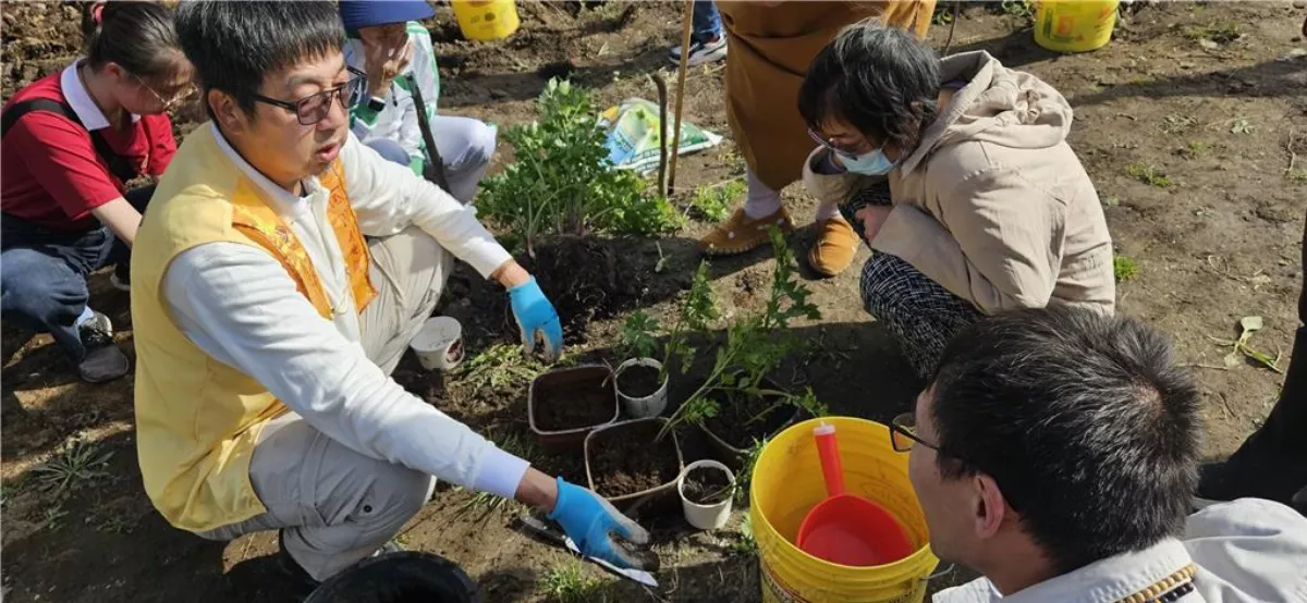 Harmony with Nature and Environmental Protection: Happy Farm 2024 Planting Season Kicks Off