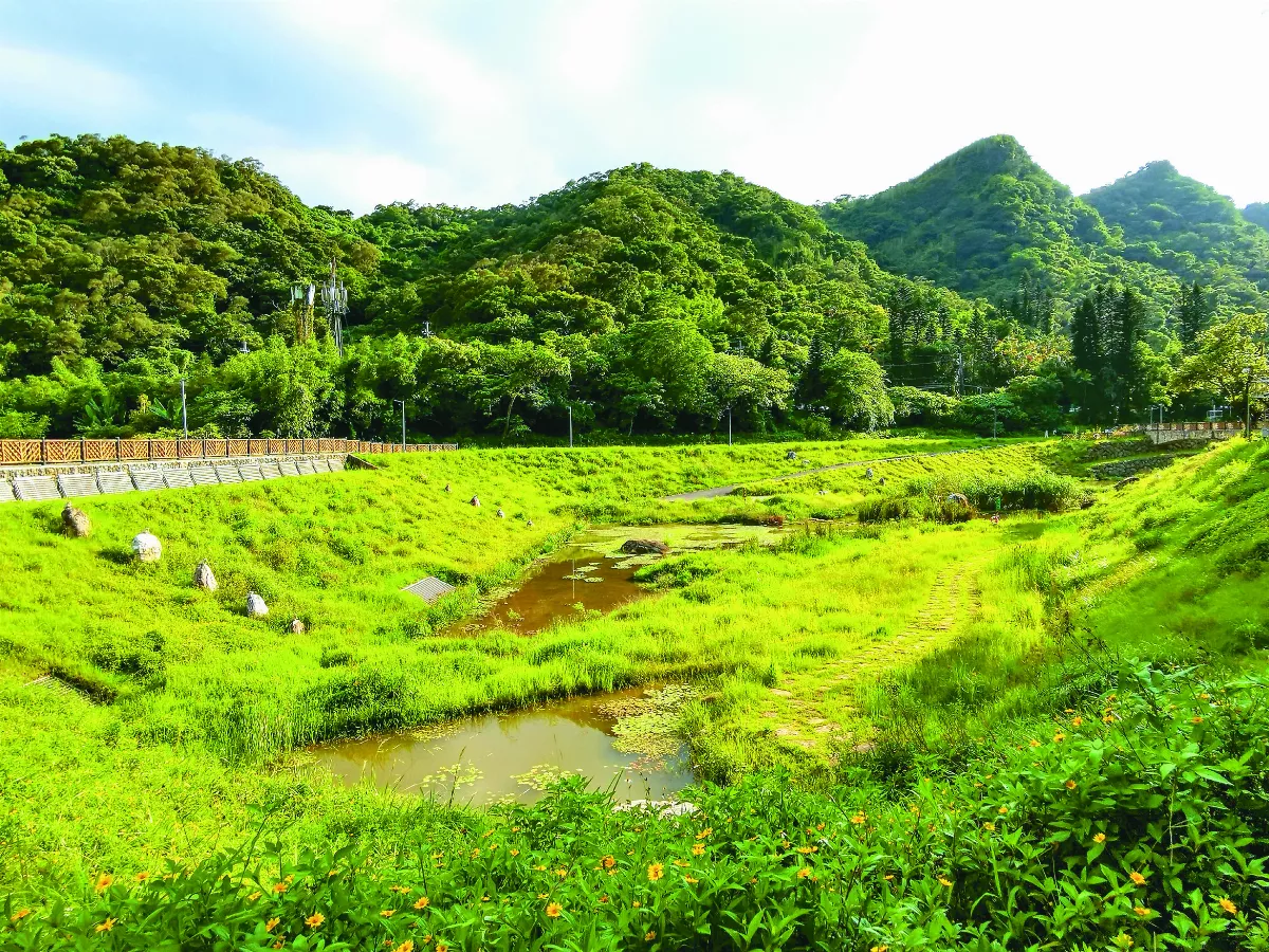 【走讀城鄉】兼顧防洪、休憩與生態教育 金瑞治水園區
