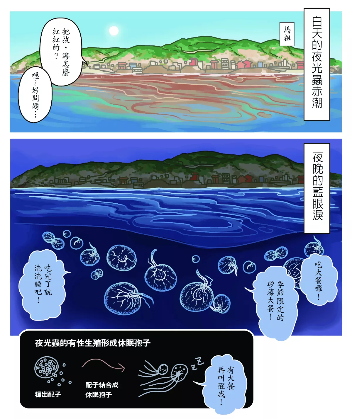 【玉子手札】 白天赤潮 夜晚藍眼淚