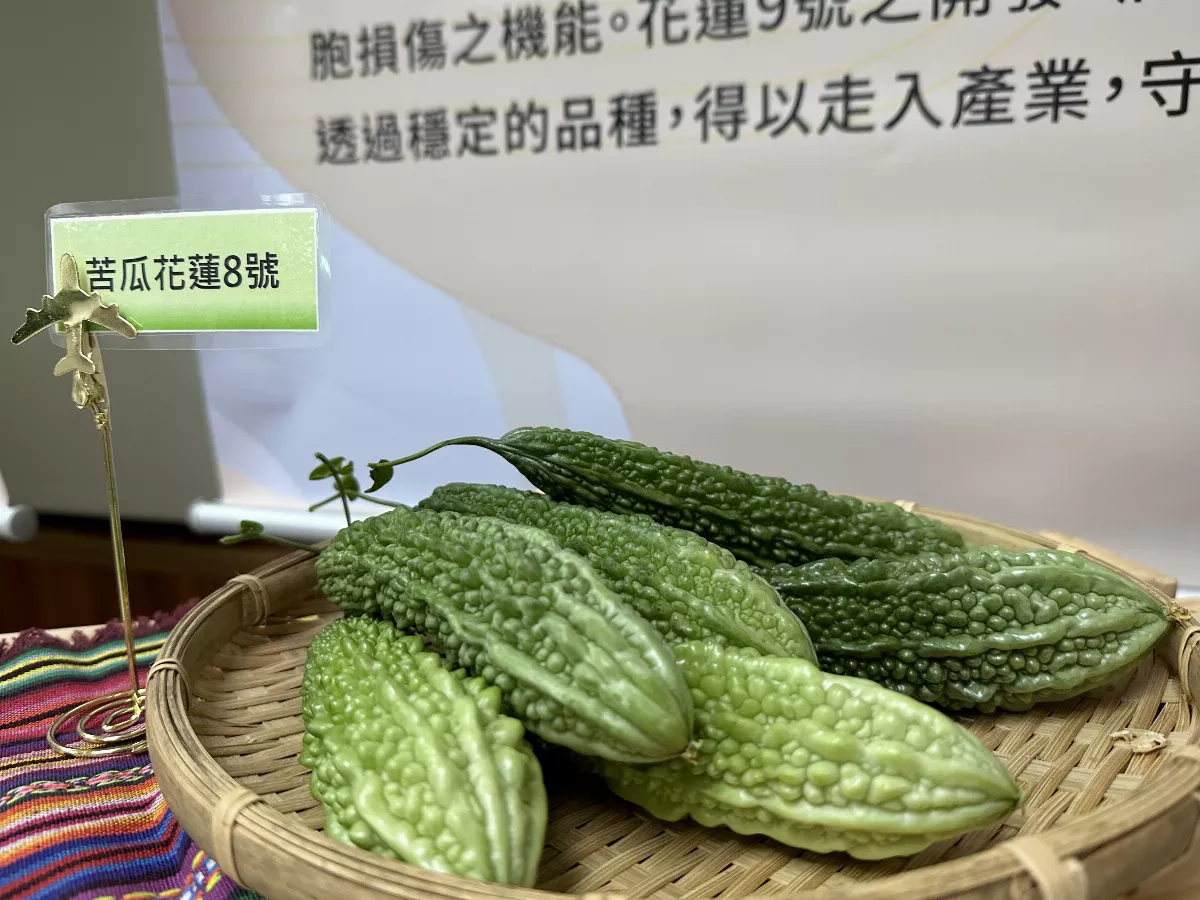 花東保健作物 有機耕作促進升級
