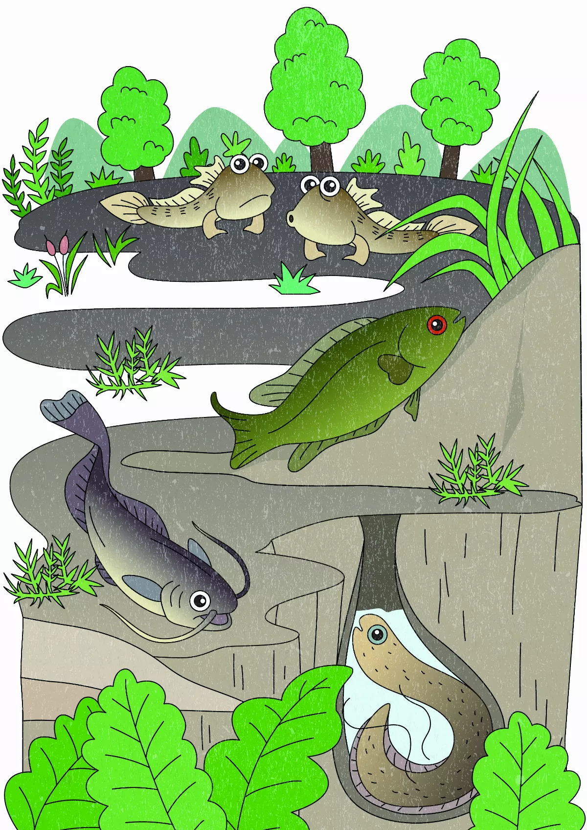 陸上走路魚