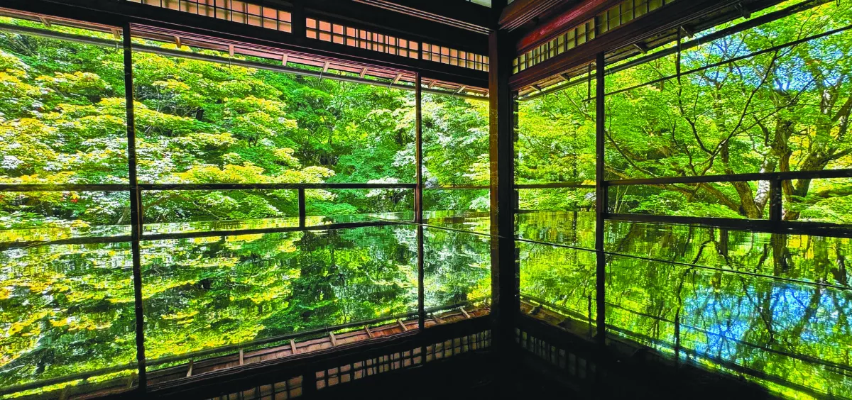 日本瑠璃光院  青楓美景醉人