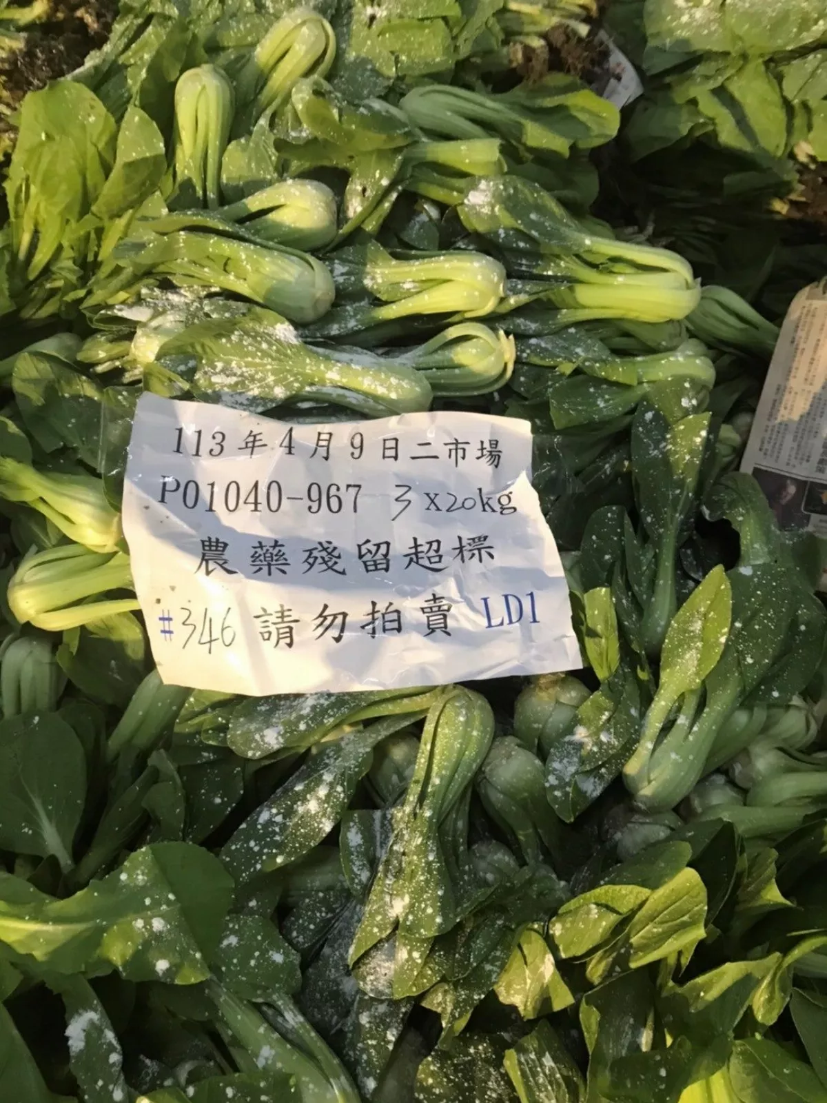 北市抽驗批發市場蔬果  青江白菜等3項農藥超標
