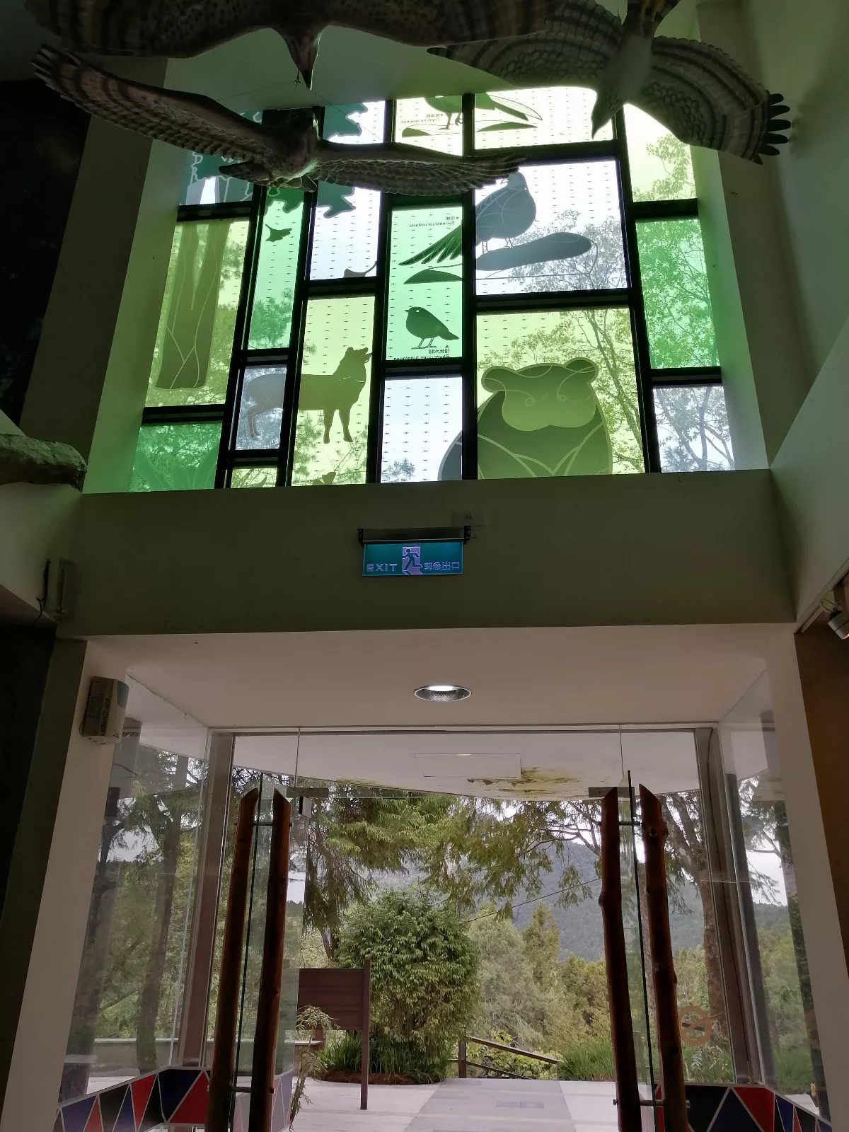 友善鳥類 阿里山教育館完成特色窗貼