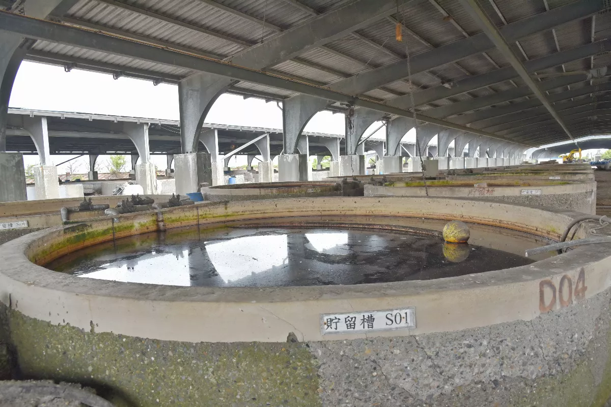 酸菜鹵水造成土地酸化汙染 雲林與台大合作找出解方