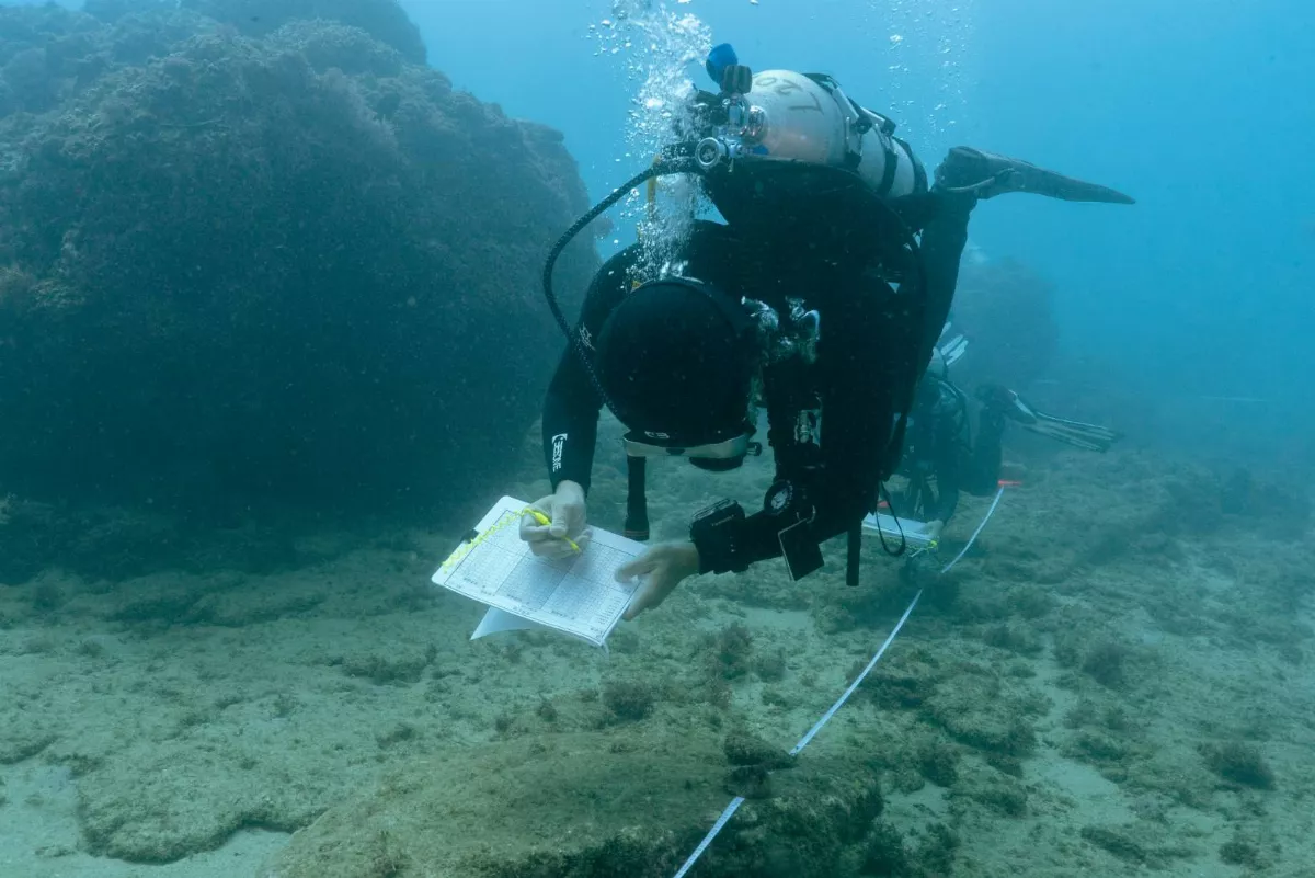 守護海洋　「珊瑚特潛聯盟」監測珊瑚白化生態　