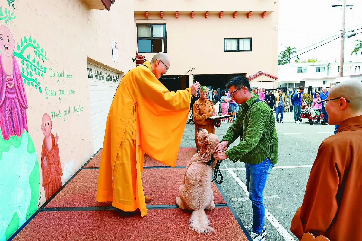 西方寺減碳健走  祝福毛寶貝