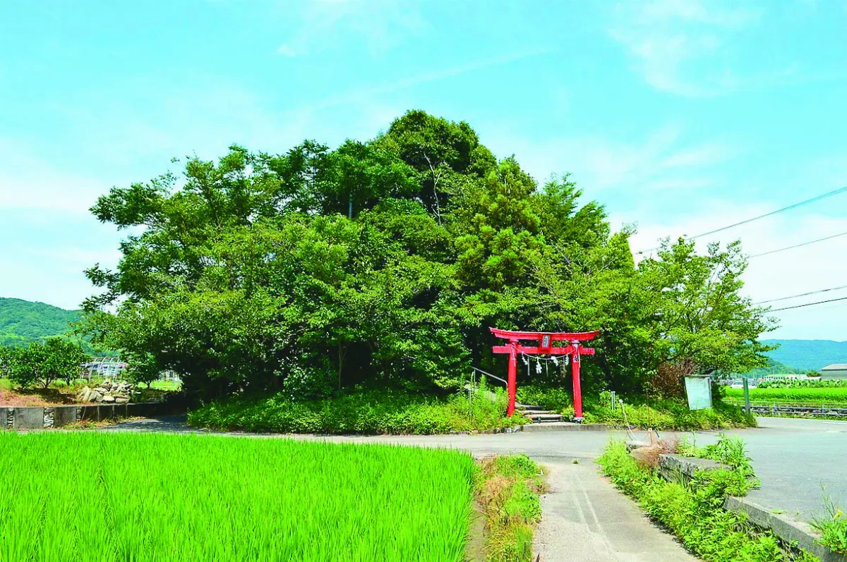 日本辯天山6.1公尺高  1分鐘登頂