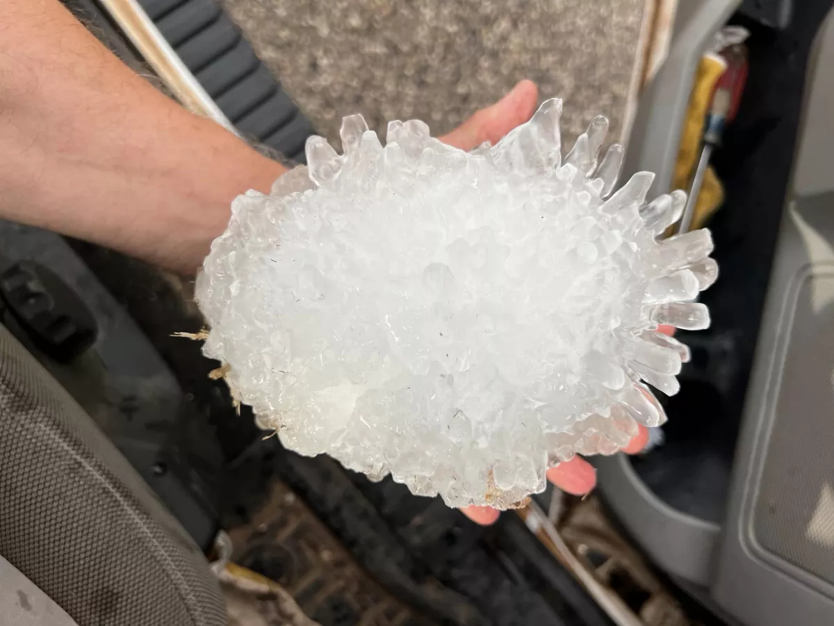 氣候變異有多恐怖？德州冰雹跟鳳梨一樣大