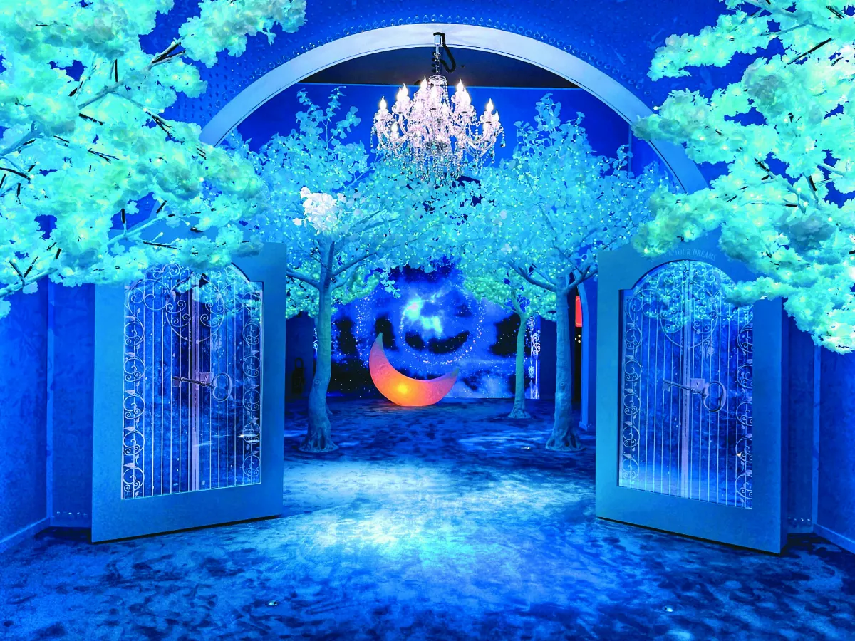 巴黎夢想家之屋  沉浸夢境世界