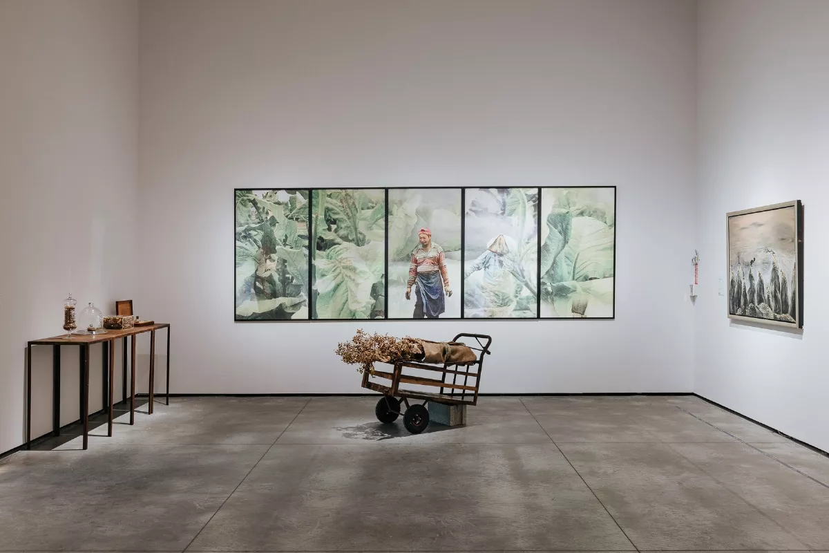 探索當代藝術軌跡  南美館「極度維面」今展出