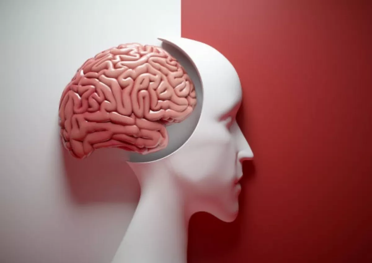 高雄長庚攜手陽明交大　研究「平腦症」致病新基因