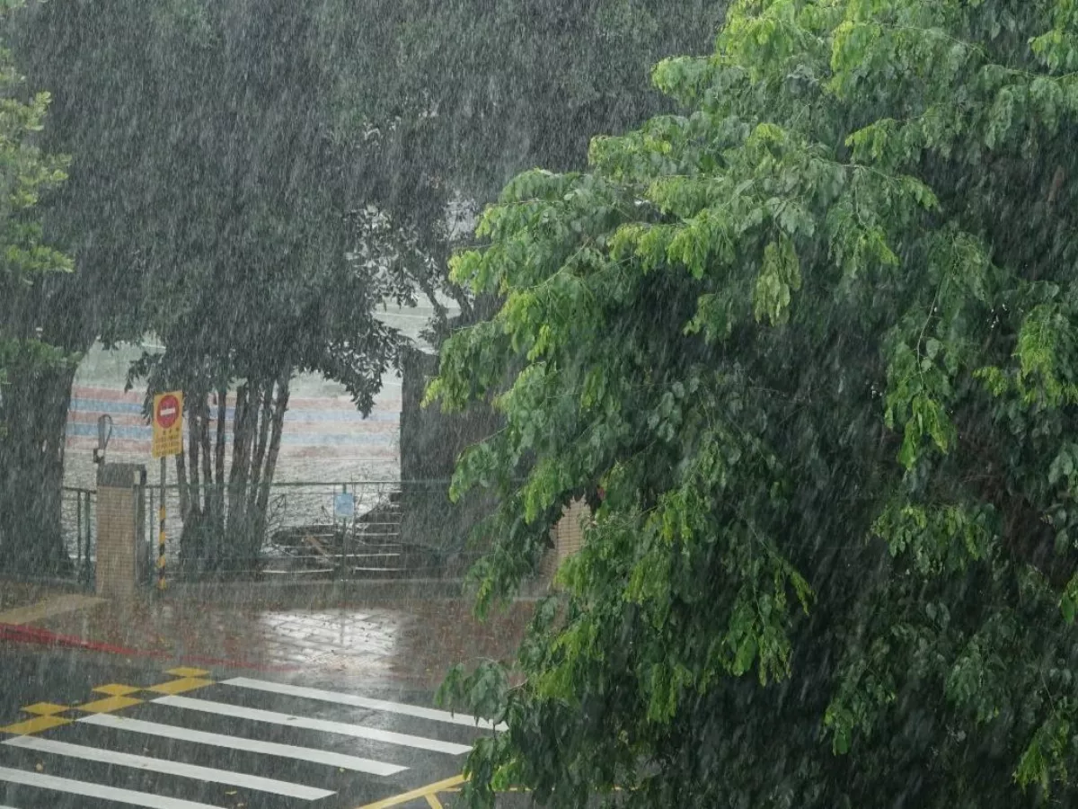 雨下得真好！嘉義各地水情穩定了