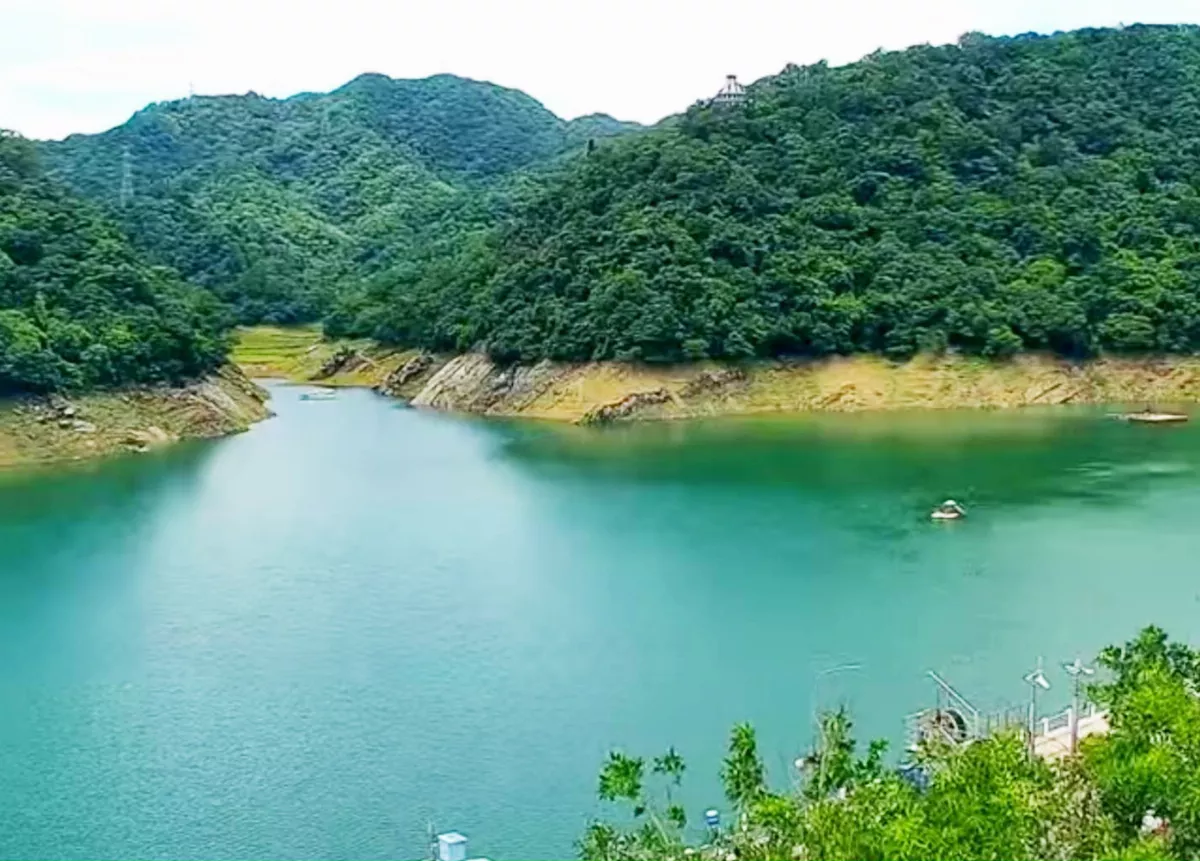 石門水庫水情3個月最佳 桃竹一期稻作供灌順利