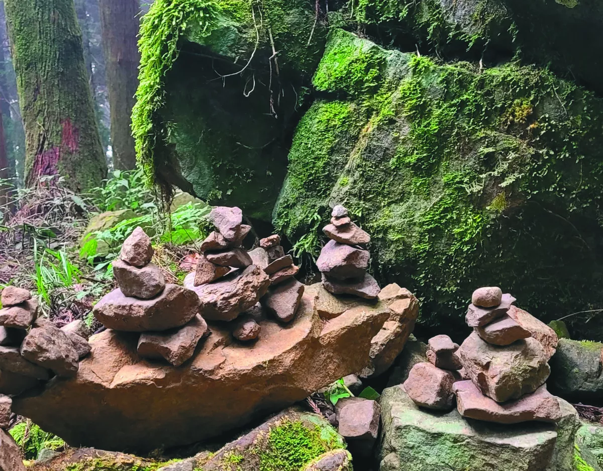 【生活快門】人生處處有太極