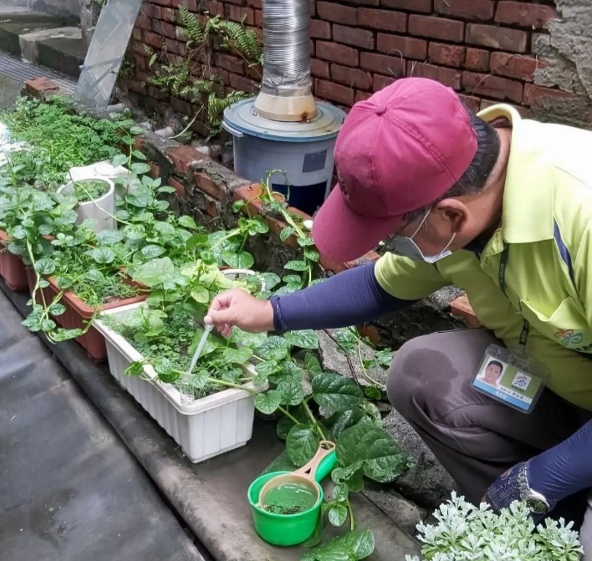 登革熱疫情拉警報　高市開罰鳳山228處孑孓熱點
