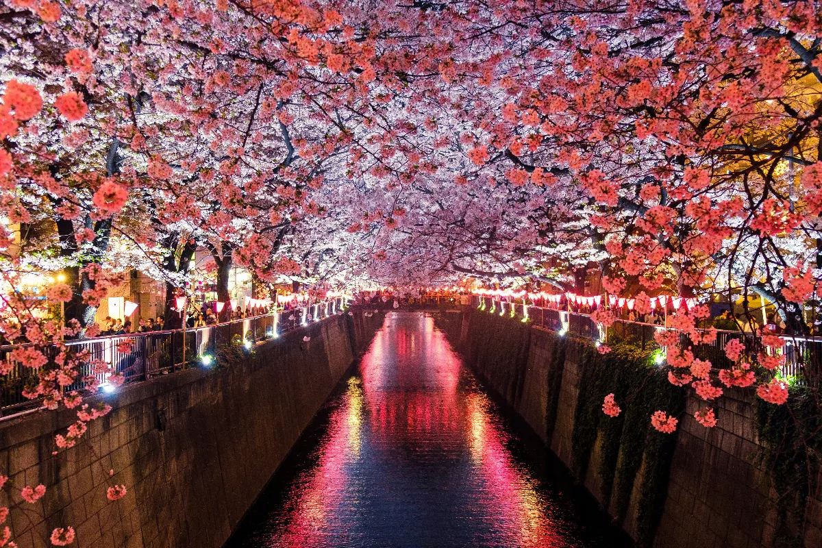 星雲說偈：莫蹉跎