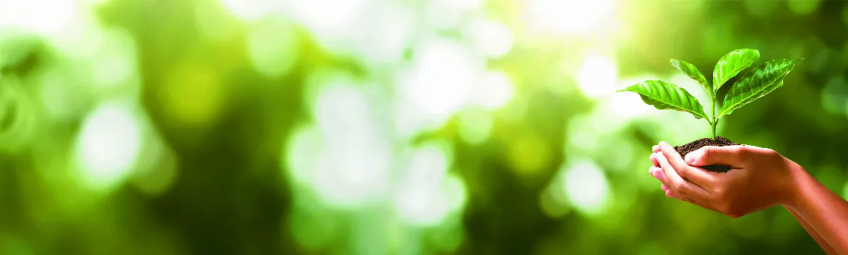 隨堂開示錄─各類致詞 深耕「三好運動」