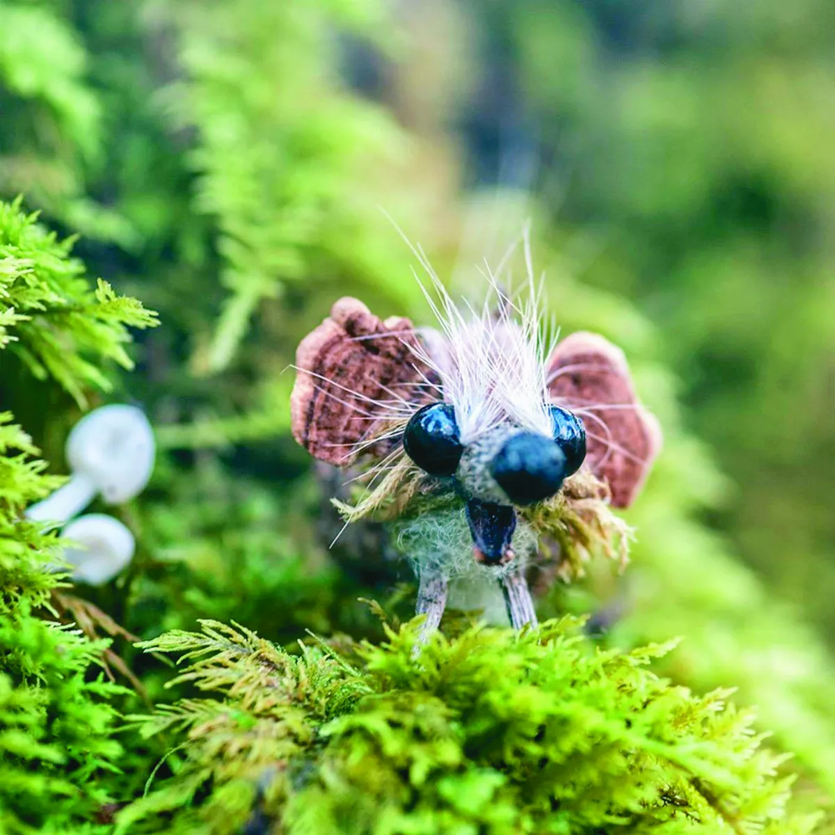 枯枝、落葉 化身森林小精靈