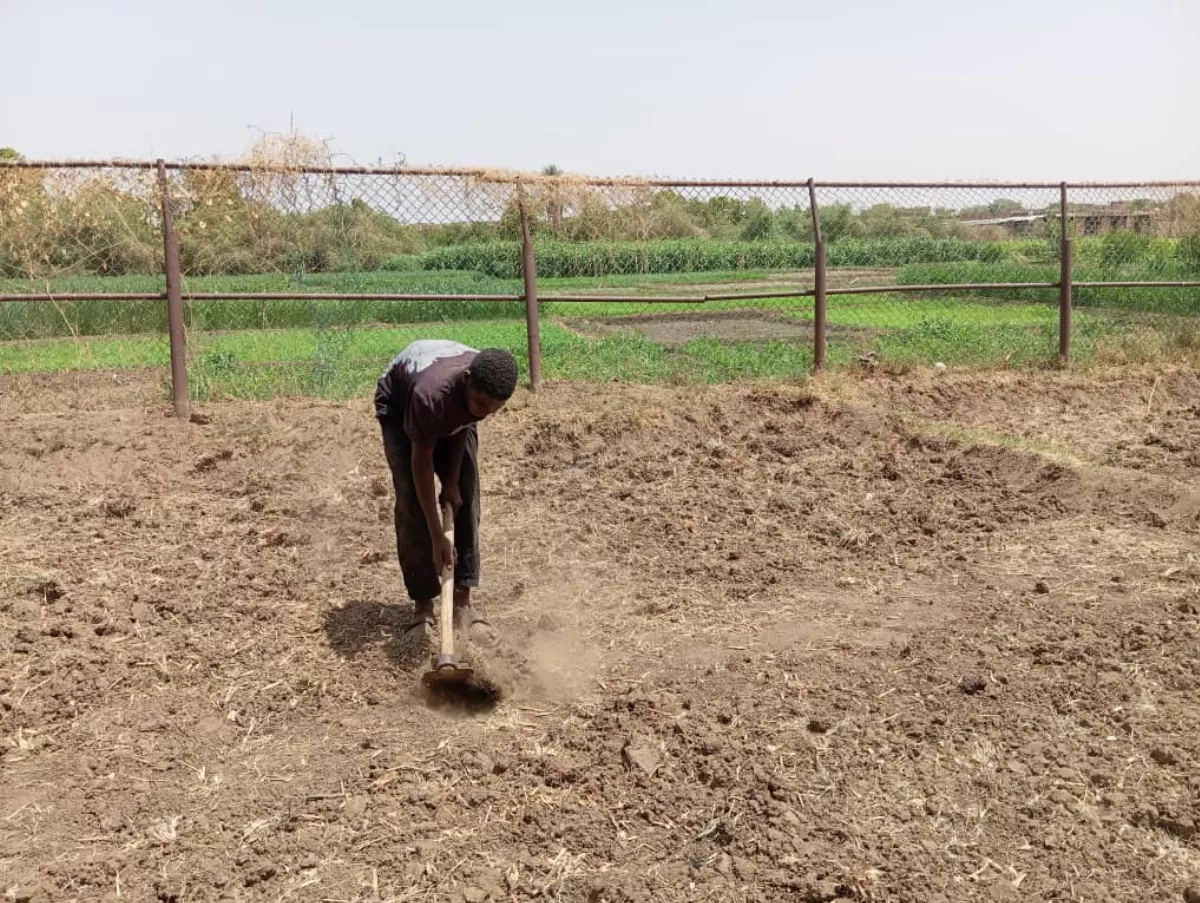 受戰爭及氣候變遷打擊 蘇丹民眾面臨水危機