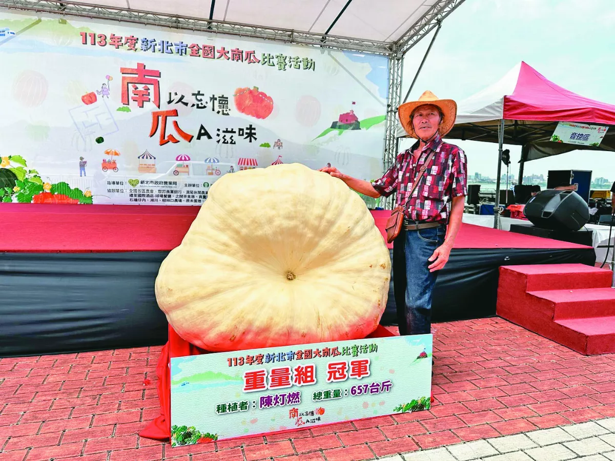 全國大南瓜比賽  三芝657台斤奪冠