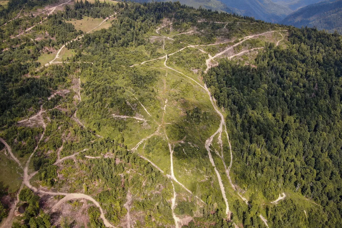 歐盟「自然復原法」通過  2030前修復2成土地與海域
