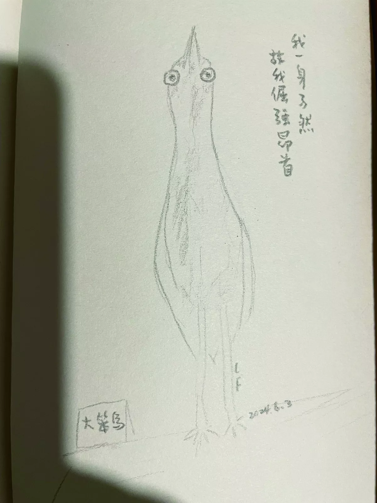 黑冠麻鷺(上)
