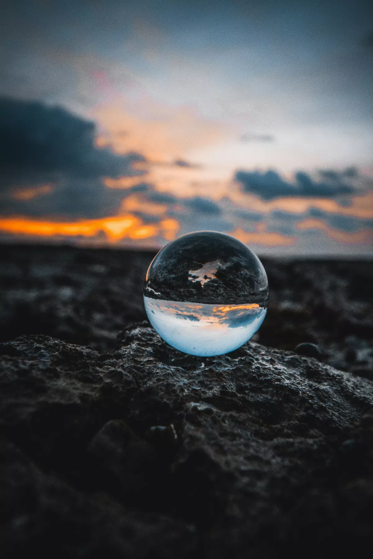 星雲說偈：學做地球人