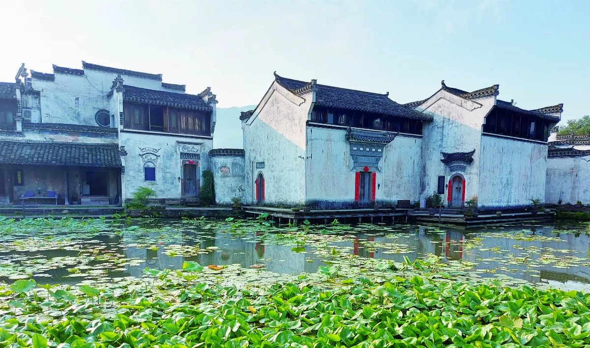 【我行遲遲】走進皖南山村