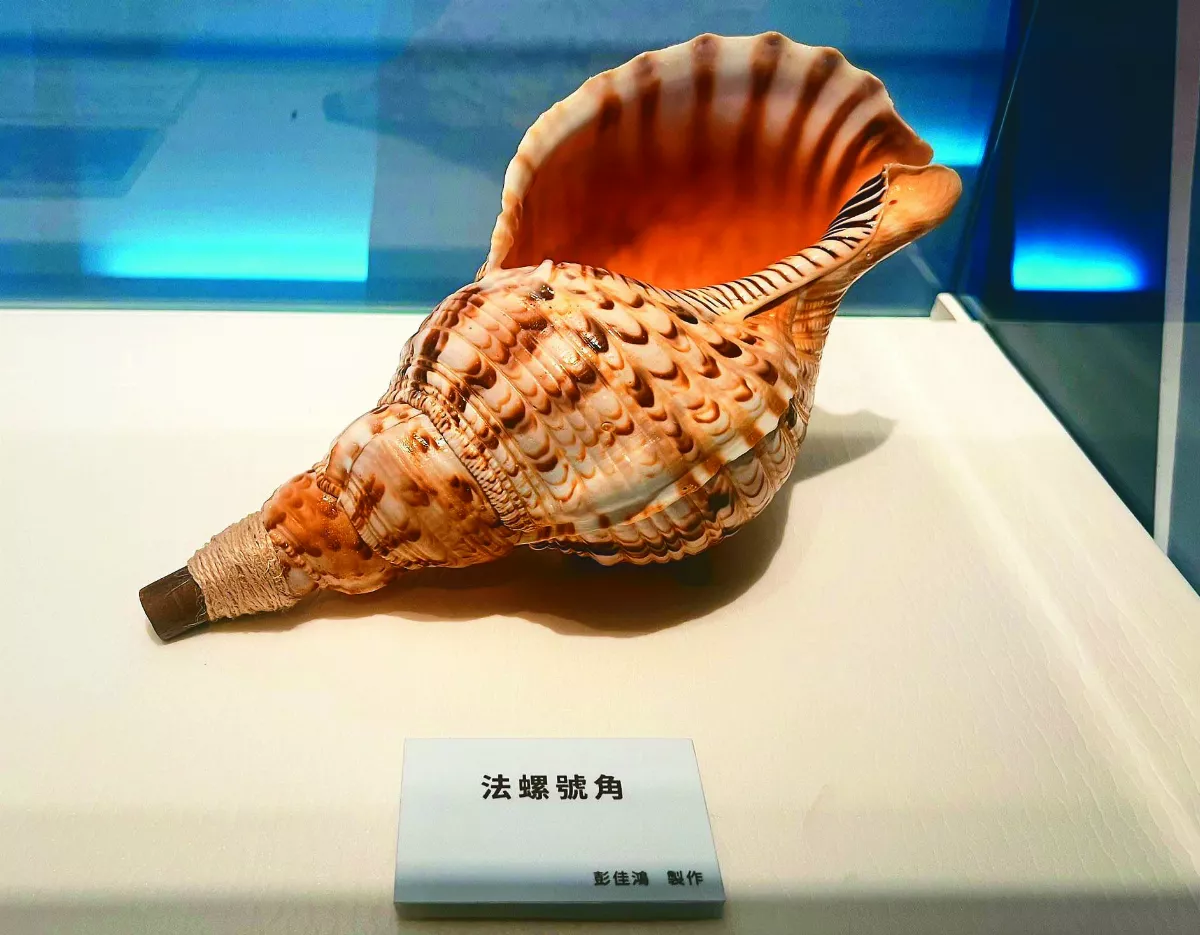 南島樂器展 手工法螺號角吸睛