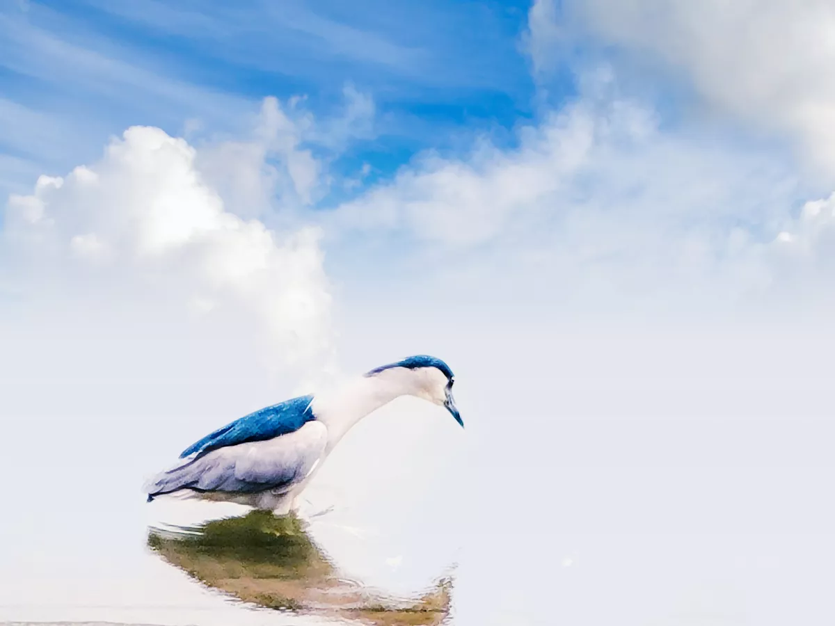 星雲說偈：世間之寶