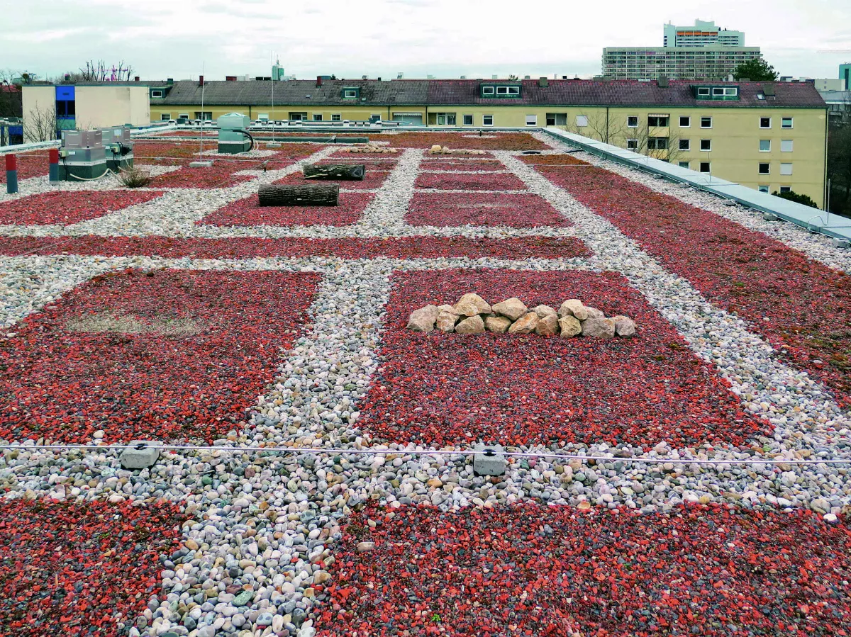 未來建築潮流 和小生物當鄰居