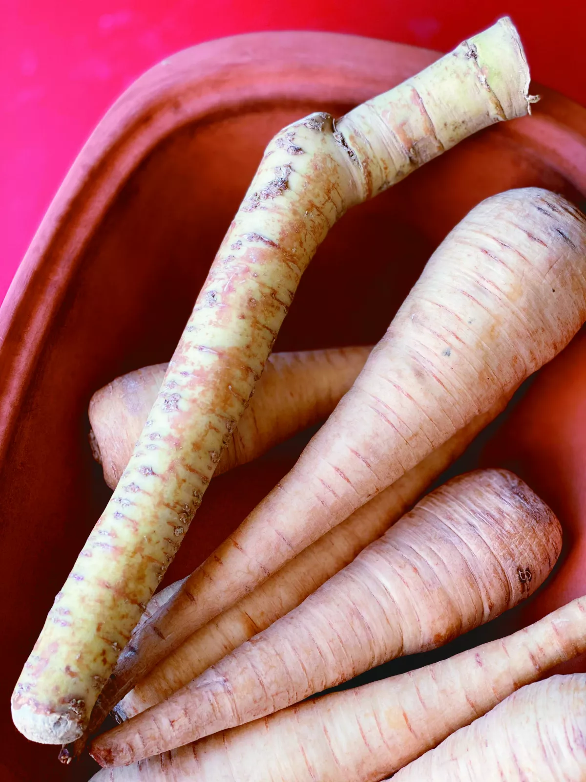 【異鄉食情】歐洲的山葵 辣根