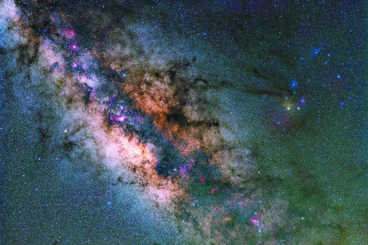 【科學攝影】微塵競色——國立自然科學博物館第8屆科學攝影特展