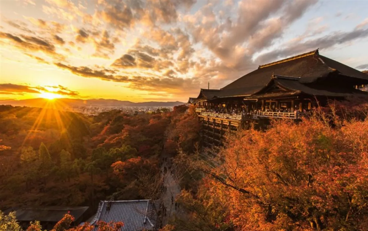 京都景點停車成問題 清水寺周邊預約制將上路