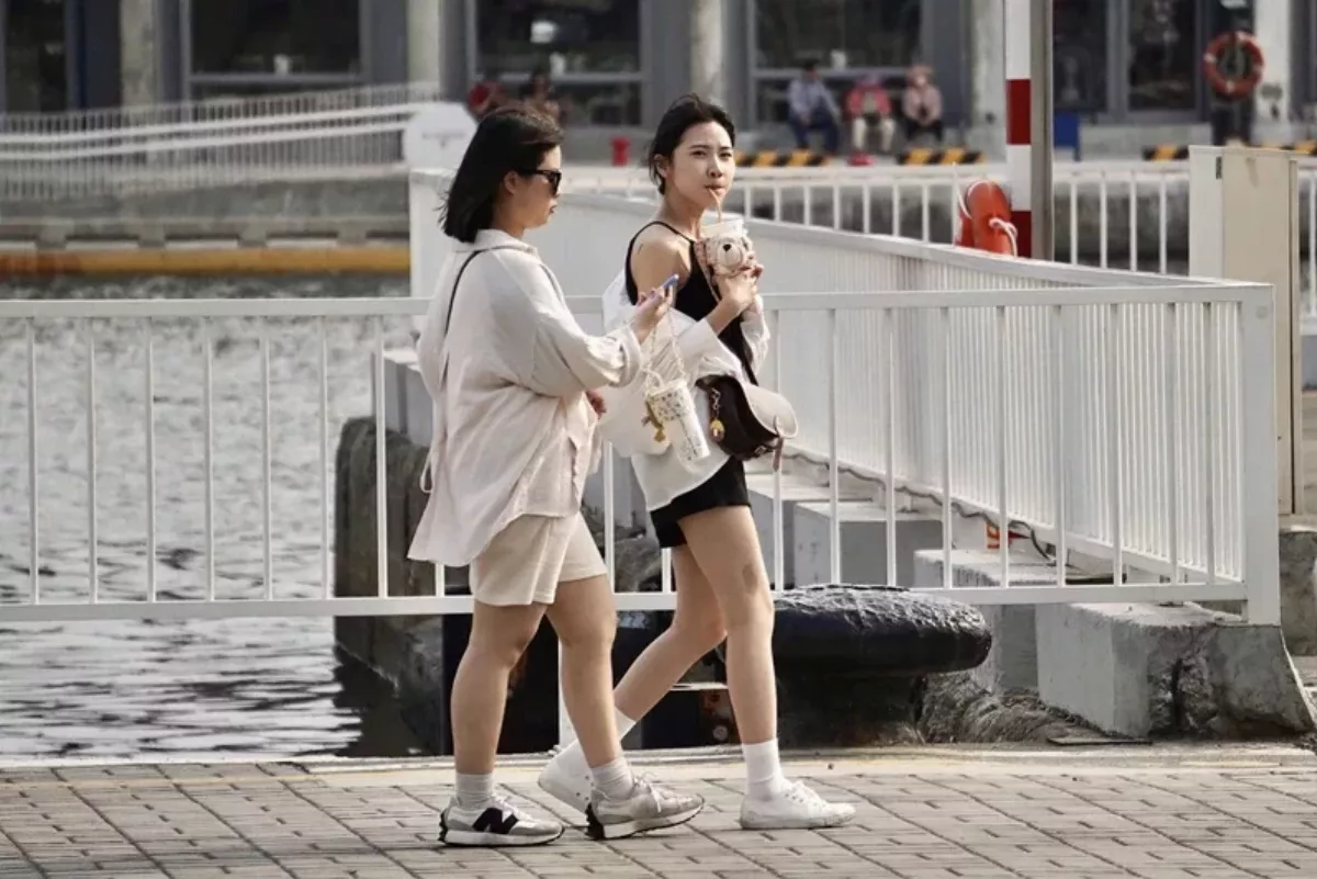 反聖嬰現象影響 今年颱風數正常偏少
