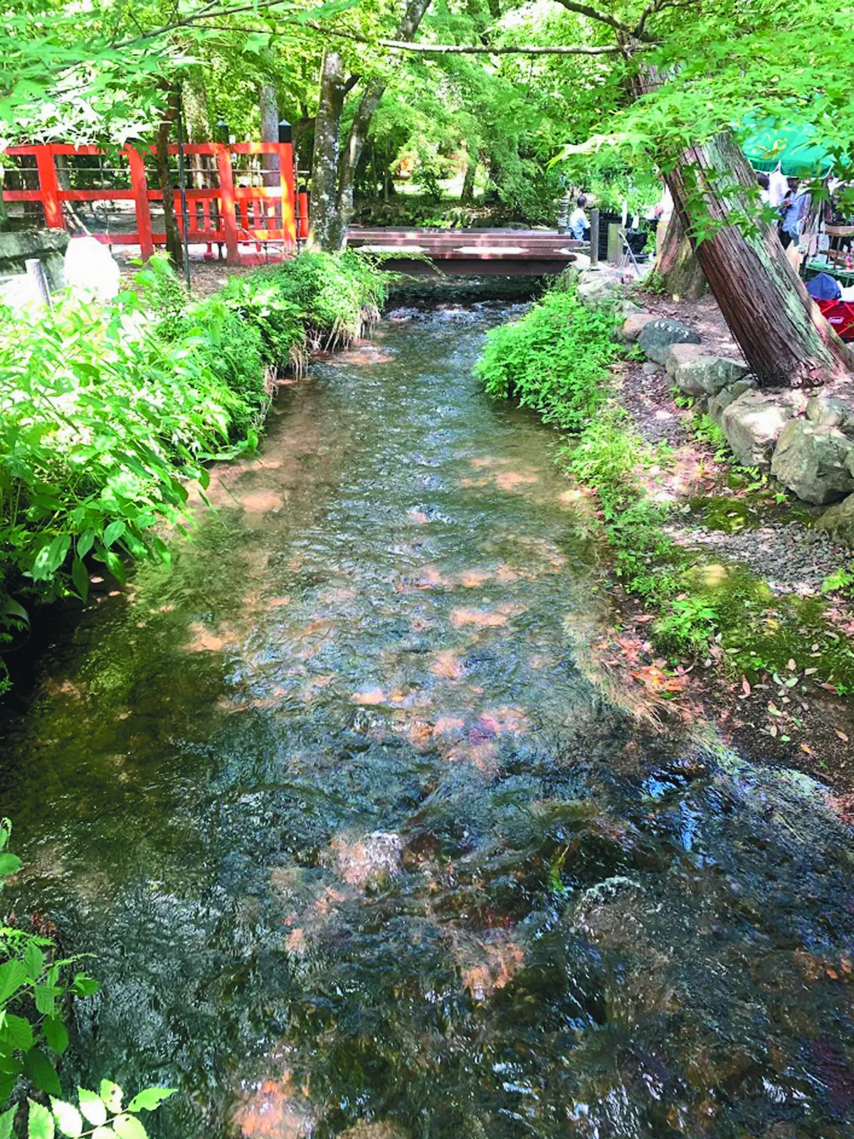 【慢活京都】愜意逛市集