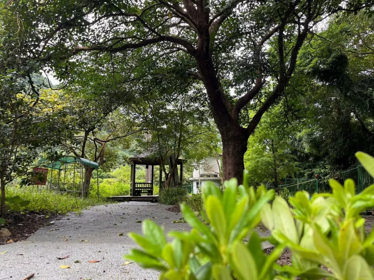 新北串連山城與海岸線 打造漫遊聚落鐵道