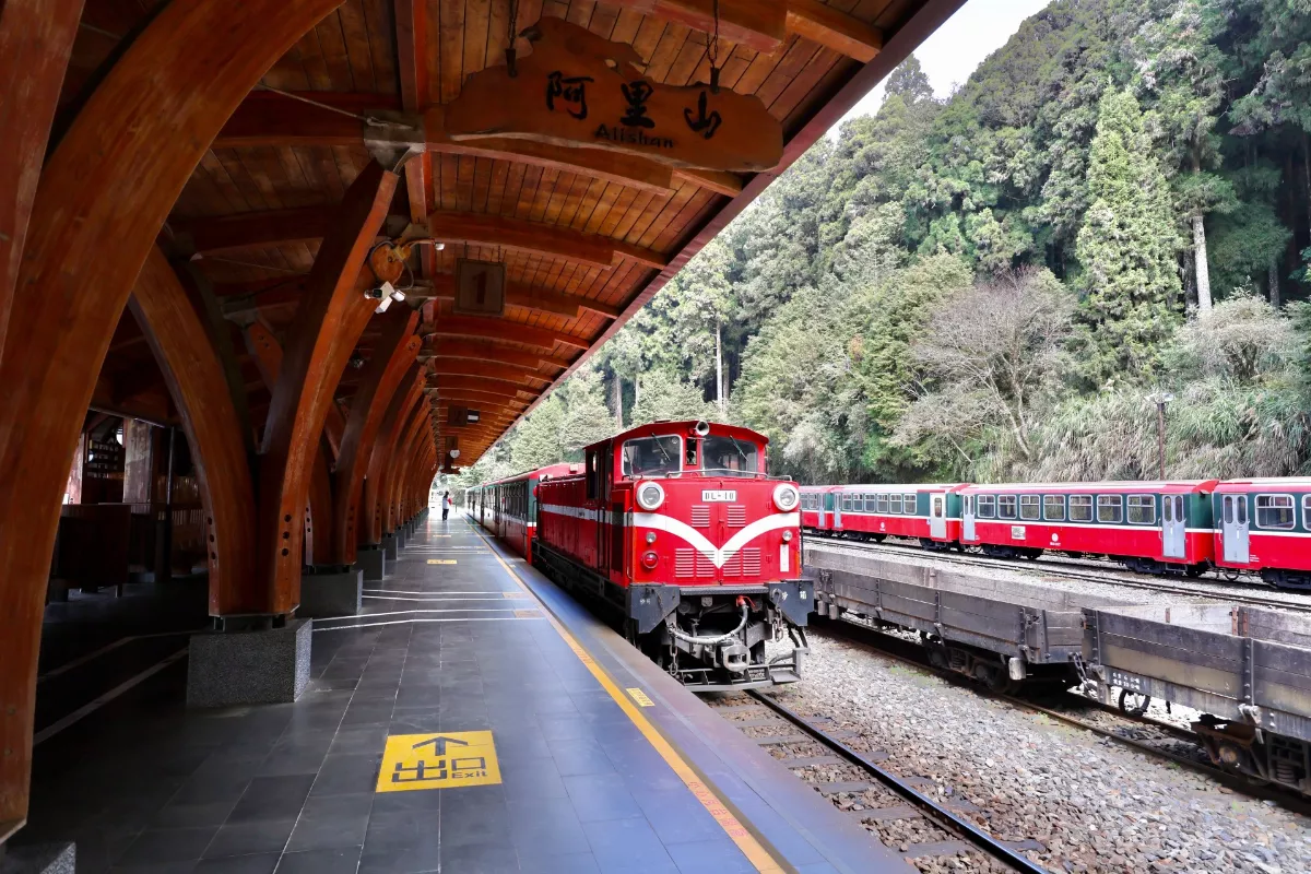 阿里山林鐵回來了 7月6日恢復全線通車