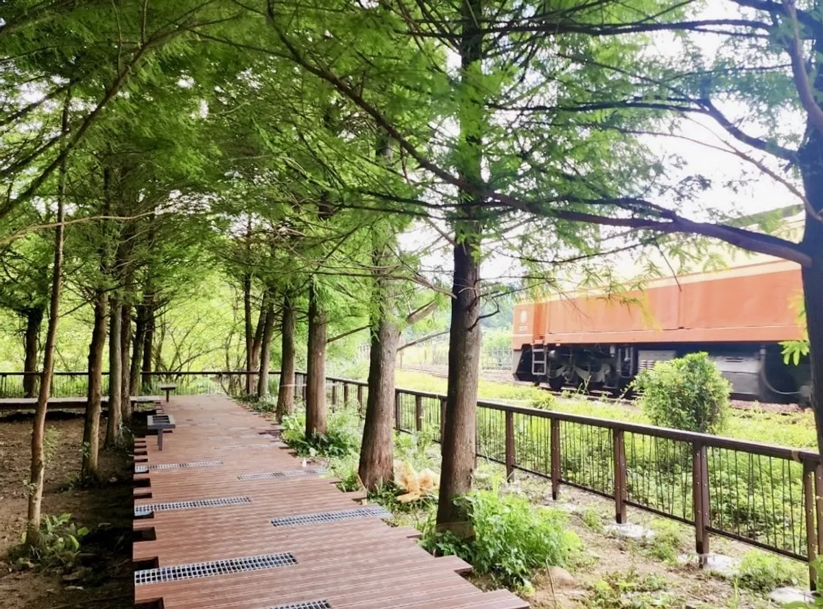 新北串連山城與海岸線 打造漫遊聚落鐵道