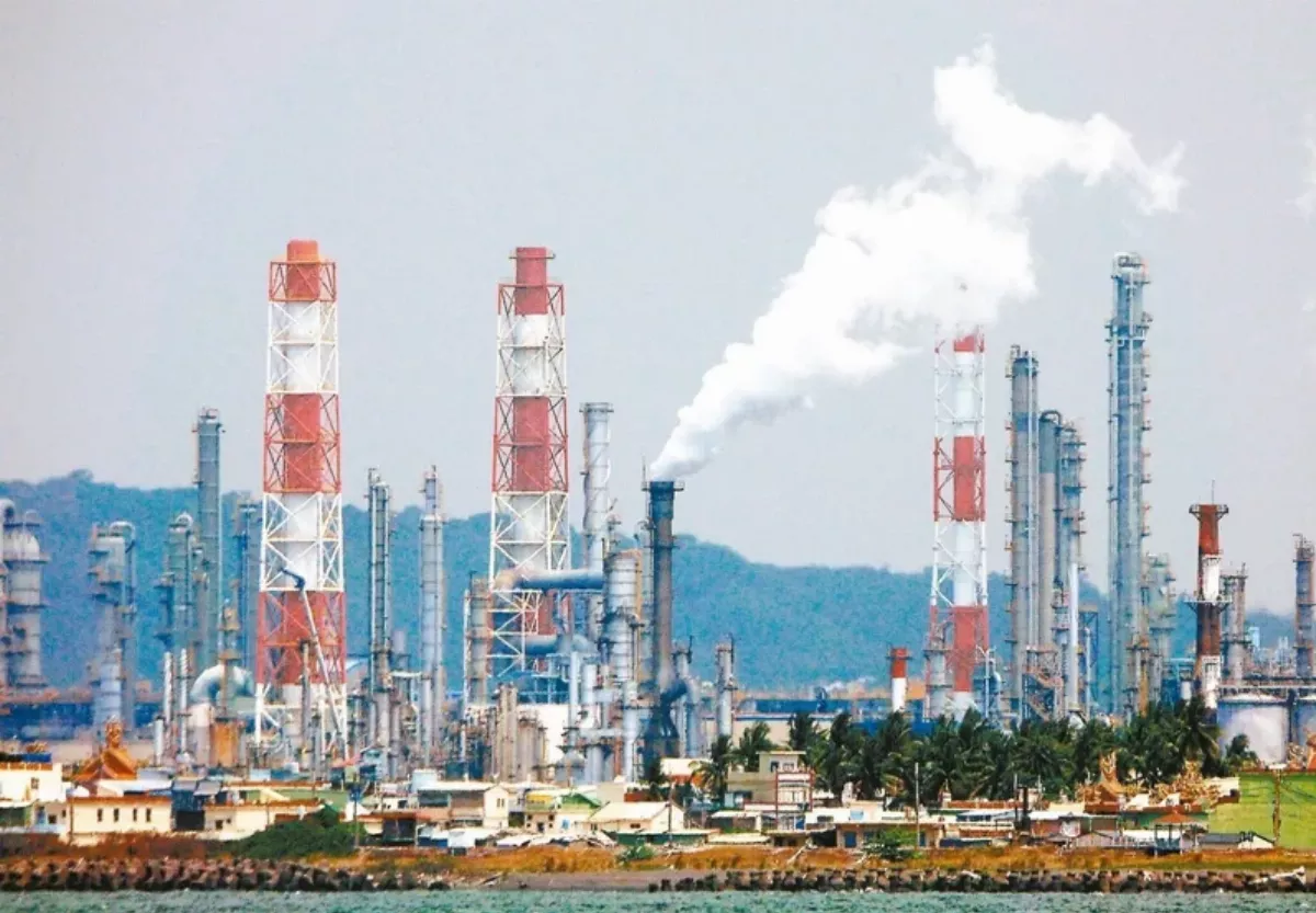 碳交所上架首批綠碳 巴拉圭植樹造林專案逾1萬噸